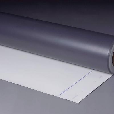 Copertinamantisinteticipvc Tpo Fpo Aa00252f 1920w